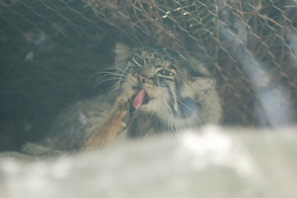 神戸どうぶつ王国